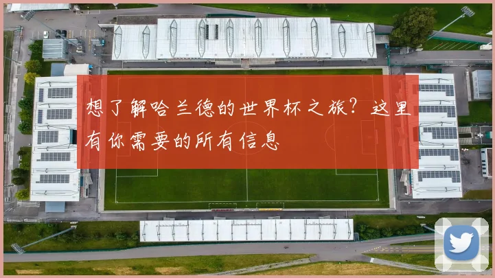 想了解哈兰德的世界杯之旅？这里有你需要的所有信息